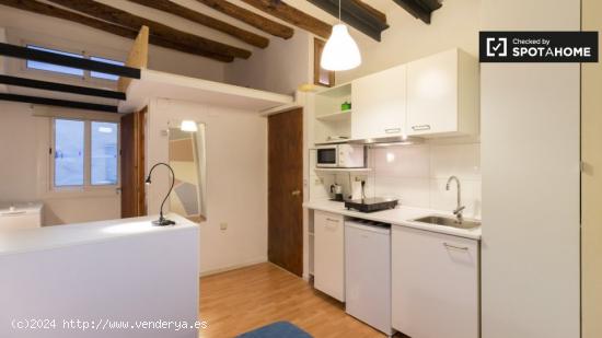 Estudio en alquiler en Barcelona - BARCELONA