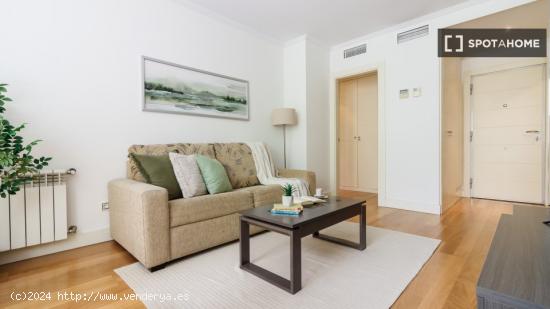 Apartamento entero de 1 habitaciones en Madrid - MADRID