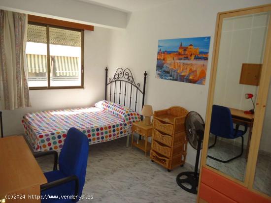  Habitación en piso compartido en Córdoba - CORDOBA 