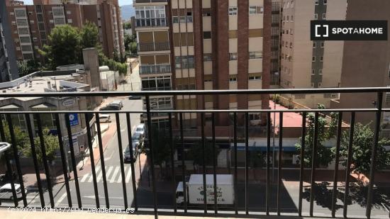 Alquiler de habitaciones en piso de 4 dormitorios en Murcia - MURCIA