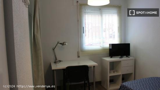 Habitaciones solo para mujeres en piso compartido en Murcia - MURCIA