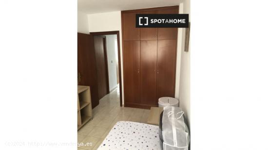 Habitación en piso compartido en Murcia - MURCIA