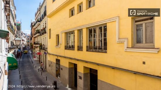 Encuentra una habitación con armario independiente en apartamento de 8 habitaciones, Lavapiés - Mu