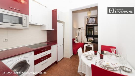 Apartamento de 2 dormitorios en alquiler en el corazón de Lavapiés - MADRID