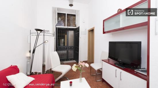 Apartamento de 2 dormitorios en alquiler en el corazón de Lavapiés - MADRID