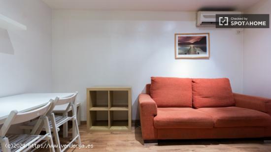 Tranquilo y agradable mascota estudio apartamento en el corazón de Salamanca - MADRID