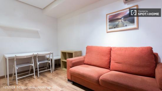 Tranquilo y agradable mascota estudio apartamento en el corazón de Salamanca - MADRID