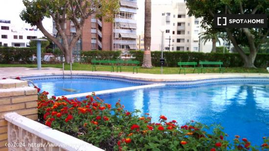 Apartamento en Alicante - ALICANTE