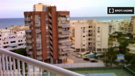 Apartamento en Alicante - ALICANTE