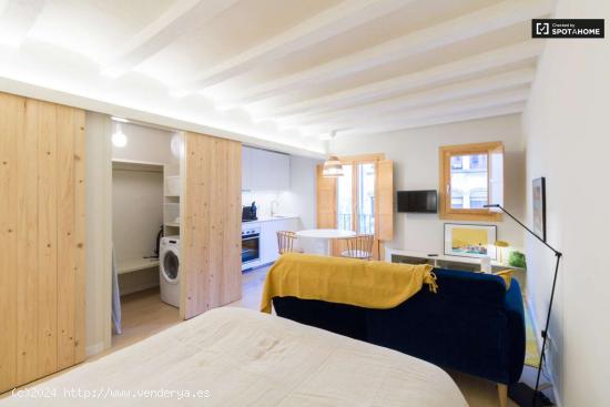  Estudio en alquiler en El Raval, Barcelona - BARCELONA 