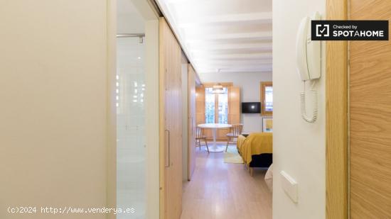 Estudio en alquiler en El Raval, Barcelona - BARCELONA