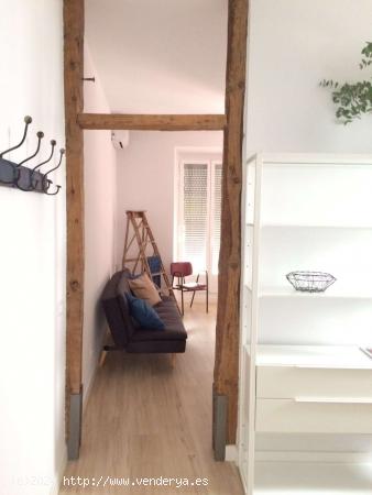  Apartamento de 1 dormitorio en alquiler en Puerta De Toledo, Madrid - MADRID 