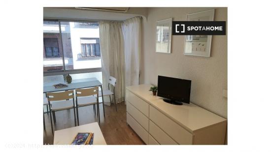 Apartamento entero de 1 habitaciones en Madrid - MADRID