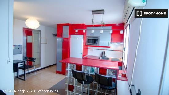 apartamento de 1 dormitorio en alquiler en Malasaña - MADRID