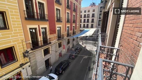 Se alquila habitación en piso de 6 habitaciones en el centro de Madrid - MADRID