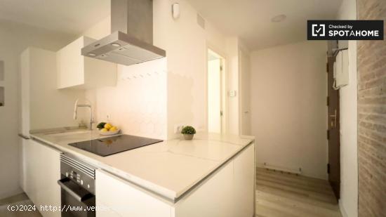 Apartamento de 1 dormitorio en alquiler en El Raval - BARCELONA