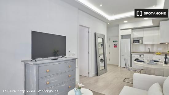 Apartamento entero de 1 habitaciones en Madrid - MADRID