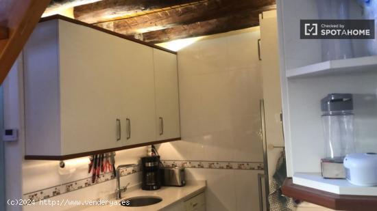 Apartamento de 1 dormitorio en alquiler en Madrid - MADRID