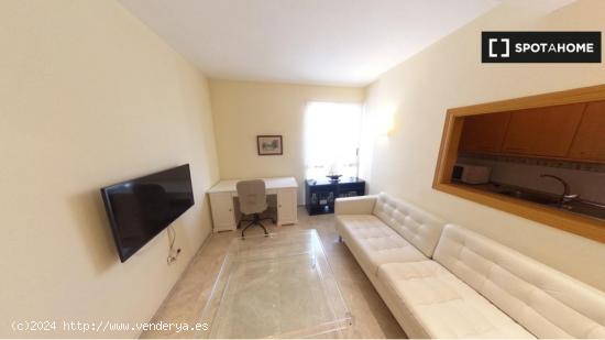 Apartamento de 1 dormitorio en alquiler en Madrid - MADRID