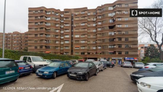 Estudio en alquiler en San Pascual, Madrid - MADRID