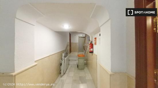 Apartamento de 2 dormitorios en alquiler en Madrid - MADRID