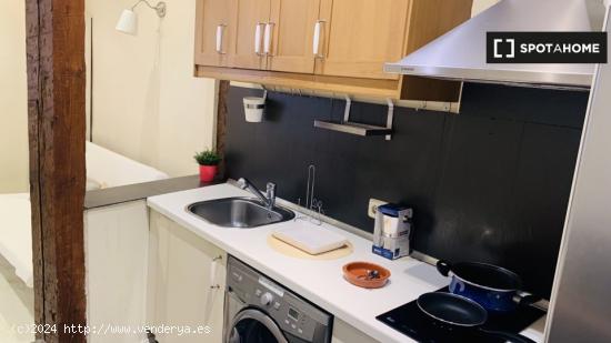 Apartamento de 1 dormitorio en alquiler en Puerta De Toledo, Madrid - MADRID