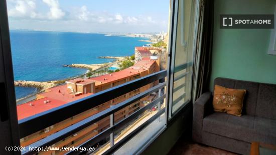 Apartamento de 1 dormitorio en alquiler en Alicante , Alicante - ALICANTE