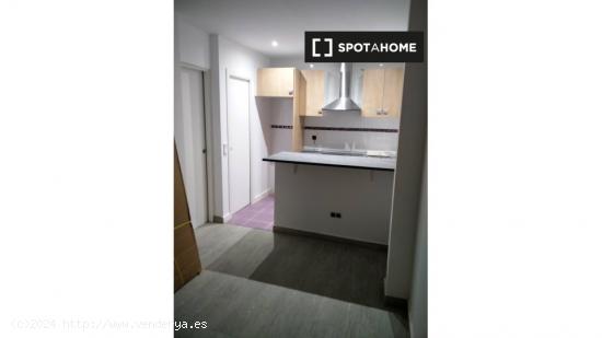 Apartamento entero de 1 habitaciones en Madrid - MADRID