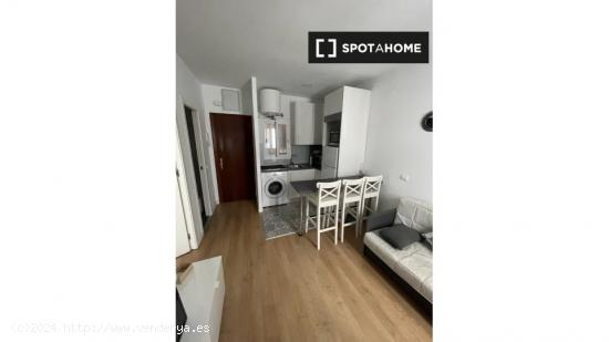 Apartamento entero de 1 habitaciones en Madrid - MADRID