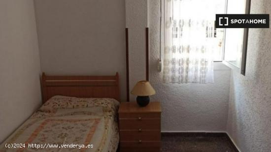 Se alquila habitación en piso de 3 dormitorios en Alicante - ALICANTE