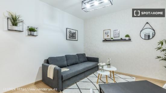 Apartamento entero de 1 habitaciones en Madrid - MADRID