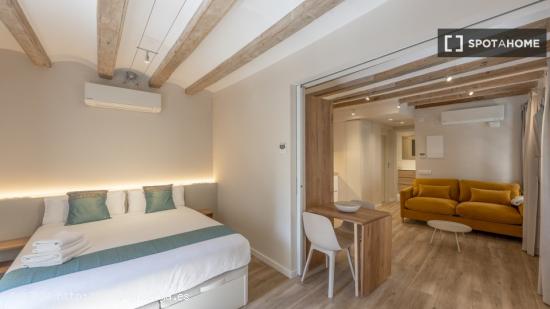 Apartamento de 1 dormitorio en alquiler en El Barri Gotic, Barcelona - BARCELONA