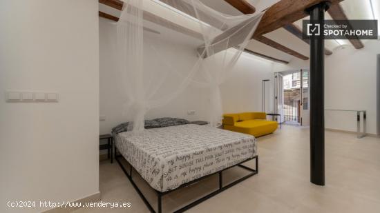 Estudio apartamento en alquiler en Ciutat Vella. - VALENCIA