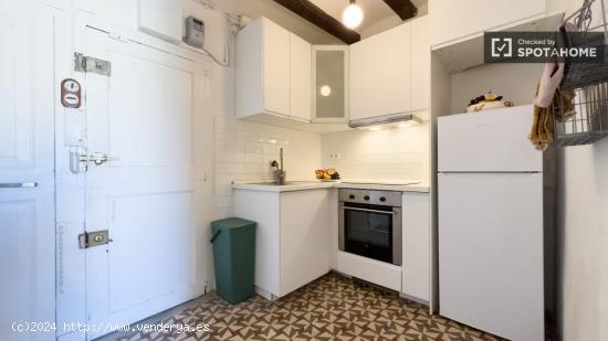 Estudio apartamento en alquiler en Ciutat Vella. - BARCELONA