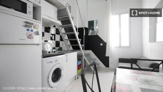 Soleado estudio con dormitorio tipo loft en alquiler en Puerta del Ángel, cerca del metro - MADRID