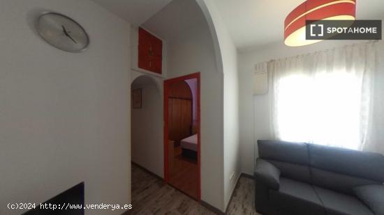 Apartamento entero de 1 habitaciones en Madrid - MADRID