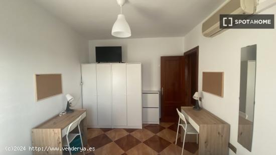 Alquiler de habitaciones en piso de 3 dormitorios en Pueblo Nuevo - MALAGA