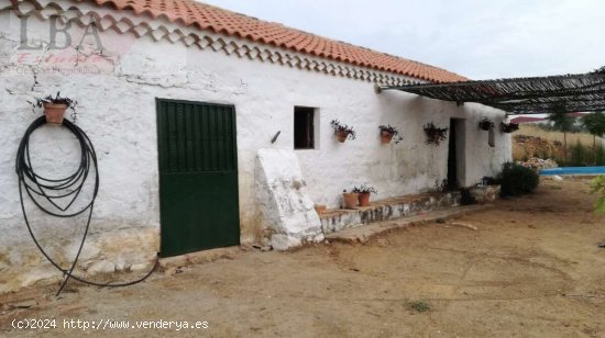 CASA CON PISCINA CERCA DEL LA LOCALIDAD. (PRECIO NEGOCIABLE) - Baños de la Encina