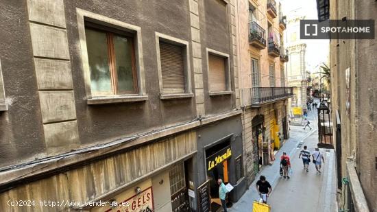 Amplia habitación en piso compartido en Barcelona - BARCELONA