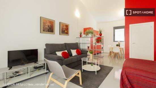 Apartamento entero de 1 habitaciones en Madrid - MADRID