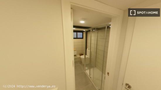 Apartamento entero de 1 habitaciones en Madrid - MADRID