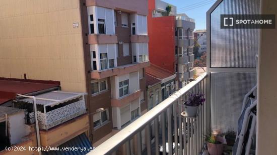 Apartamento de 2 dormitorios en alquiler en Valencia - VALENCIA