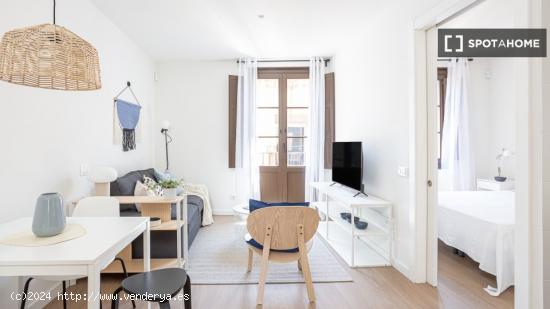 Apartamento entero de 1 dormitorio en Barcelona - BARCELONA