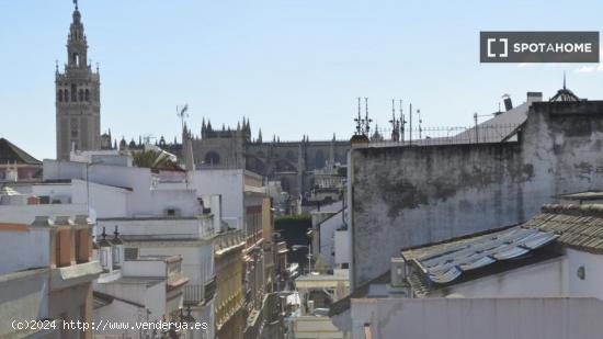 Piso de 1 dormitorio en alquiler en Sevilla - SEVILLA