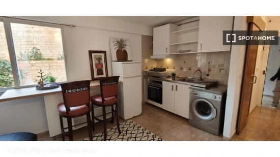 Apartamento de 1 dormitorio en alquiler en Mallorca - BALEARES