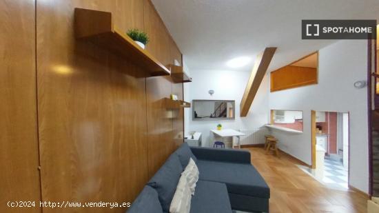 Apartamento entero de 1 habitaciones en Madrid - MADRID