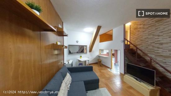 Apartamento entero de 1 habitaciones en Madrid - MADRID