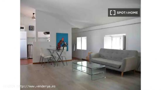 Estudio en alquiler en Ciutat Vella, Valencia - VALENCIA