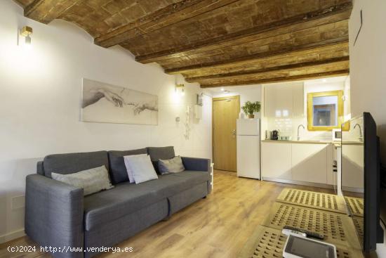  Apartamento entero de 1 dormitorio en Barcelona - BARCELONA 