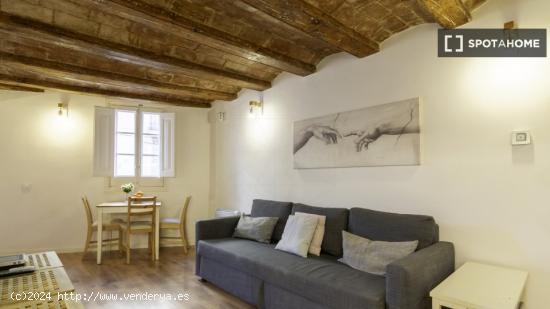 Apartamento entero de 1 dormitorio en Barcelona - BARCELONA